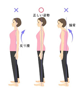 姿勢矯正・改善