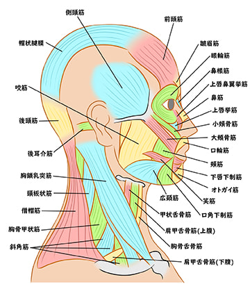 頚部痛